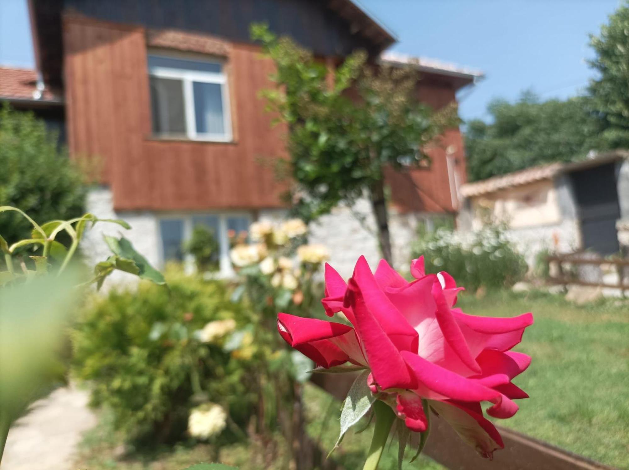 Villa Nina In Kramolin Luaran gambar